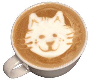 cafe_cat-removebg-preview