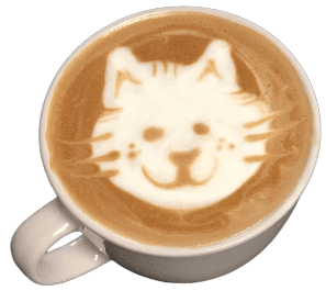cafe_cat-removebg-preview cafe_cat-removebg-preview